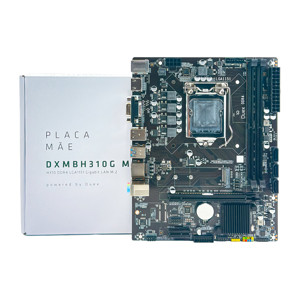 dxmbh310g-01.jpg